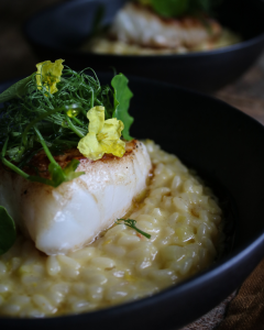 Huvudrätt: Stekt torskrygg med citronrisotto

Stekt torskrygg serverad på krämig citronrisotto